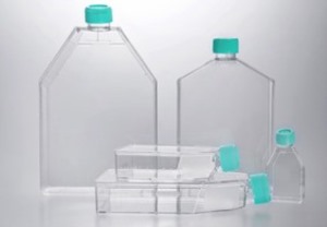 Cell and Tissue Culture Flasks, Sterile